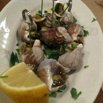 トラットリア イル ピスタッキオ - 