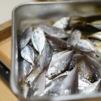 日本橋 蕎ノ字 - 