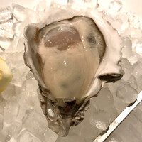 KAZAN - 室津産の生牡蠣。キャッツアイオイスター。