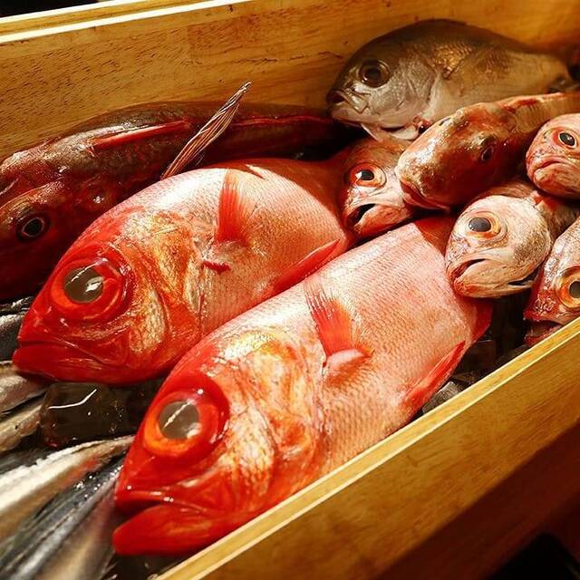 料理メニュー こだわり鮮魚とおでんと炭火焼 鱗 新橋 魚介料理 海鮮料理 食べログ