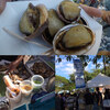 Big Island Abalone Corporation