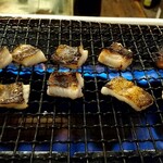 長久酒場 - 網焼ウツボ