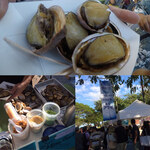 Big Island Abalone Corporation - 