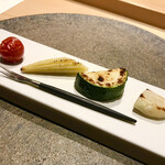 シブ ニシナカス - 