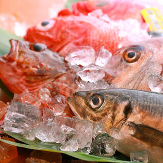 旬鮮魚専門！きらく最大の魅力は旬鮮魚！活きの良さを堪能◎