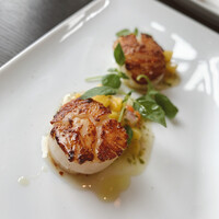 THE COSMOPOLITAN GRILL BAR TERRACE - 