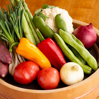 おやさい健究所_0