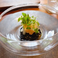 cenci - 新生姜･アオリイカ･イカスミのタヤリン