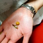 寒河江サービスエリア - できますか？