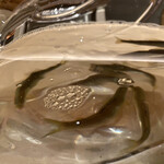 新地 やま本 - 鮎