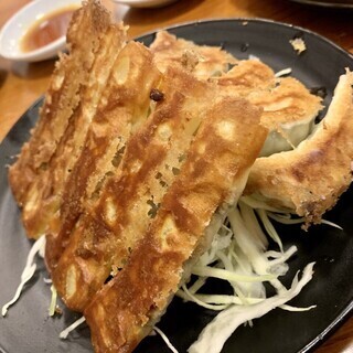 The popular handmade Gyoza / Dumpling packed with flavor is a must-try! No garlic ◎