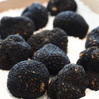 リゾット　黒トリュフ