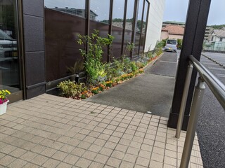Suteki No Asakuma - 入り口スロープ様々な花を植えました。