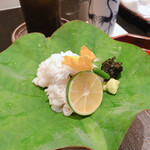 日本料理 晴山 - 