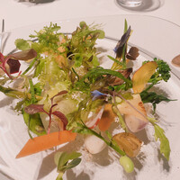 レフェルヴェソンス - 