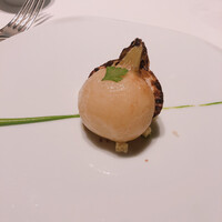 レフェルヴェソンス - 