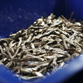 煮干しつけ麺 宮元_1