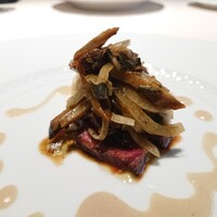 フォリオリーナ・デッラ・ポルタ・フォルトゥーナ - 