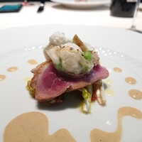 フォリオリーナ・デッラ・ポルタ・フォルトゥーナ - 