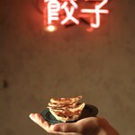 月替わりのスポット餃子もあります。