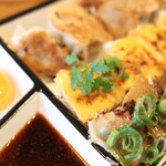 大阪餃子専門店 541+ - 