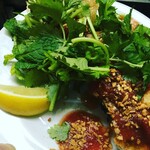 大阪餃子専門店 541+ - 