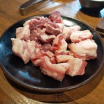 大衆焼肉ホルモン 溝の口 ひゃくてん - 