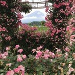 富士山の見えるカフェ - 