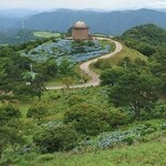 Michinoeki Inagawa Sobanoyakata - 大野山あじさい