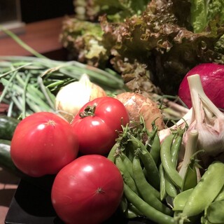 [Local fresh vegetables picked in the morning]