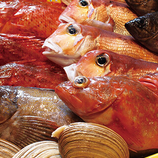 新鮮！鮮魚販売