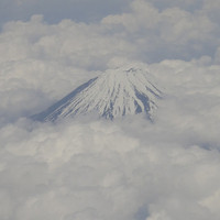 とんかつ まい泉 青山本店 - 富士山