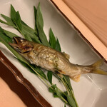 はらまさ - 鮎の塩焼き