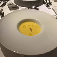 アマルフィイ・モデルナ - 