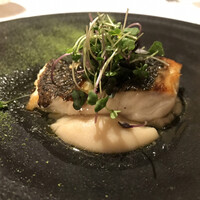 アマルフィイ・モデルナ - 