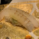 第三春美鮨 - 障泥烏賊　2kg　釣　浜〆　神奈川県佐島