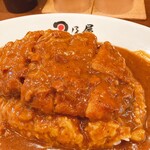 日乃屋カレー - 