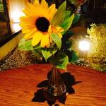 月岡温泉 摩周 - ひまわり