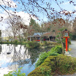 Kasugano Chaya - 鯉沢の池と春日乃茶屋