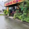 ベビー フェイス プラネッツ 熊本けやき通り店