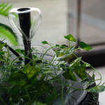 ラーメン工房 あ - 