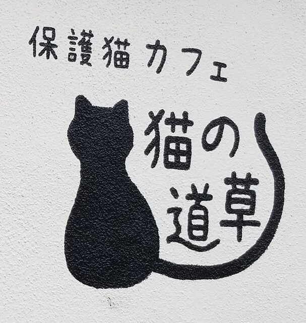 保護猫カフェ 猫の道草 中松江 その他 食べログ 保護猫カフェ 猫の道草 中松江 その他 食べログ