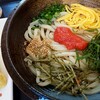 さぬきうどん　くうちゃん  本店