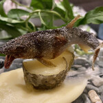 日本料理 TOBIUME - 