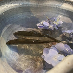 日本料理 TOBIUME - 