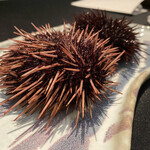 日本料理 TOBIUME - 