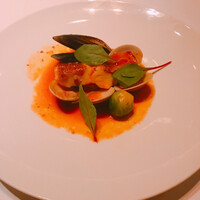 トラットリア トペ - 