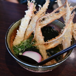 大地のうどん_1