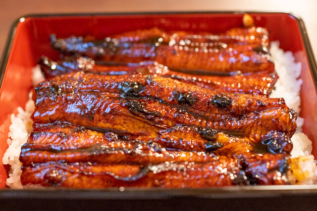 川魚 根本 八潮 うなぎ 食べログ