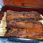 炭焼うなぎ 加茂 - うな重アップ